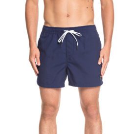 Quiksilver Everyday Volley Ball 15" Short (Blue - BTE0)